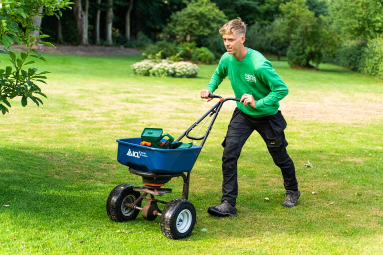 Gødning af græsplæne