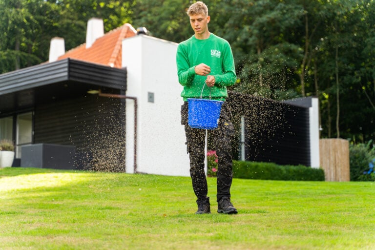 Eftersåning af græsplæne