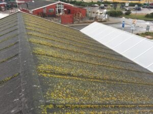 Rensning af tagpap - før