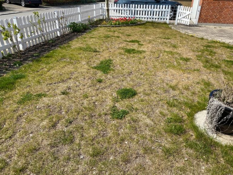 Græspleje Nanostone