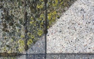 før og efter rens af havefliser