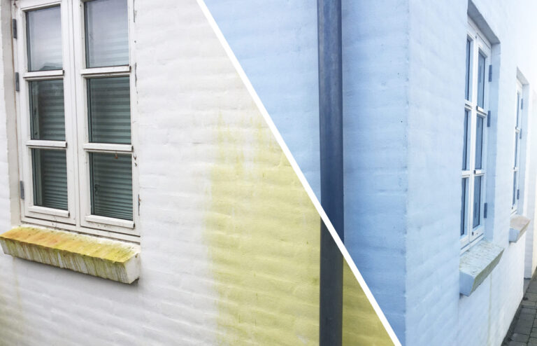 Algbehandling af facade