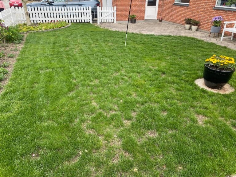 Græspleje Nanostone