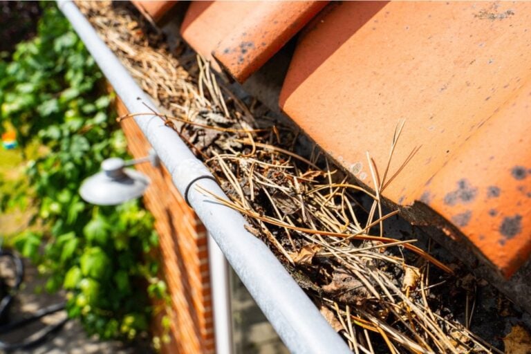 Tilstoppet tagrende med nåle, blade og snavs på tegltag