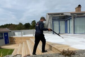 algefjerrner på træterrasse