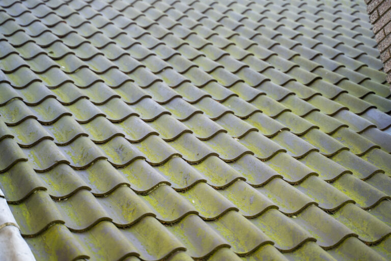 Tag som er fyldt med algevækster og man kan tydeligt se de mørke plamager.