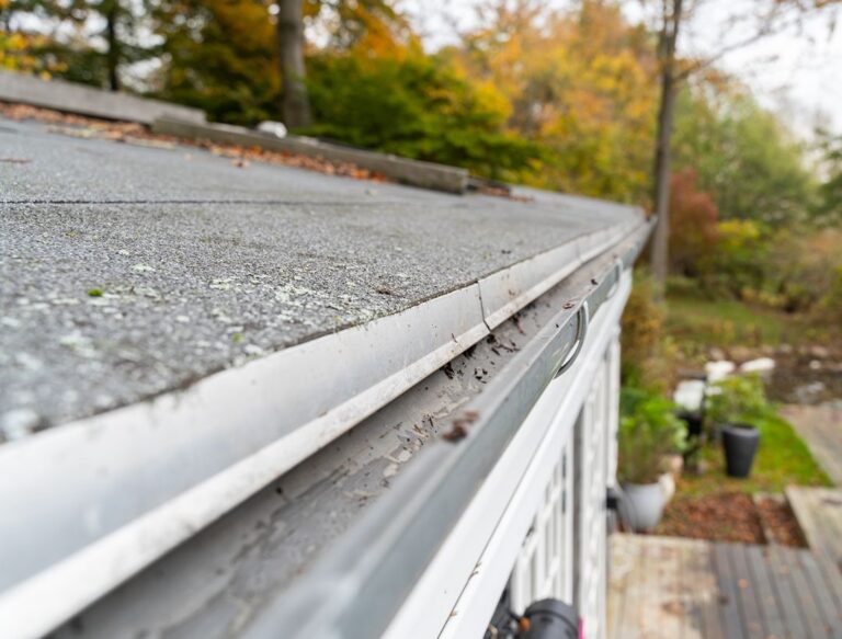 Tagrenderens erhverv