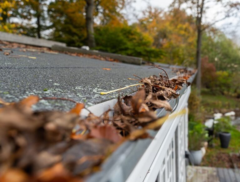 Tagrenderens erhverv