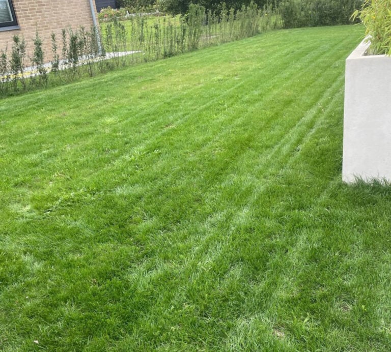 Græsplæne efter græspleje udført af Nanostone