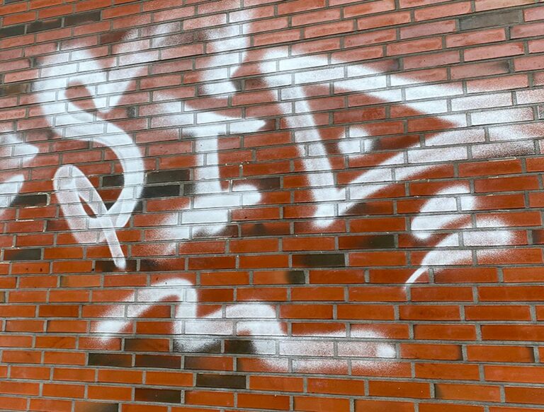 Grafittirens erhverv