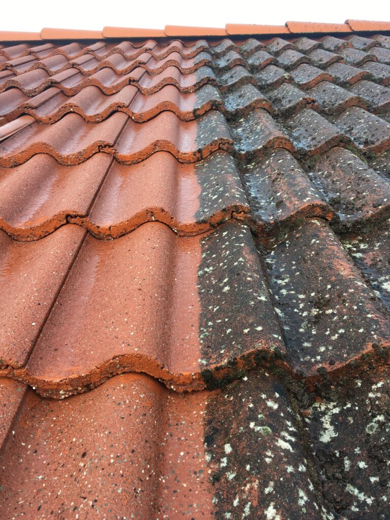Tagrens før og efter – alger og belægninger fjernet fra tagsten