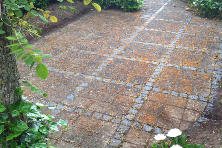 Fliser og brosten før fliserens med alger, belægninger og misfarvninger