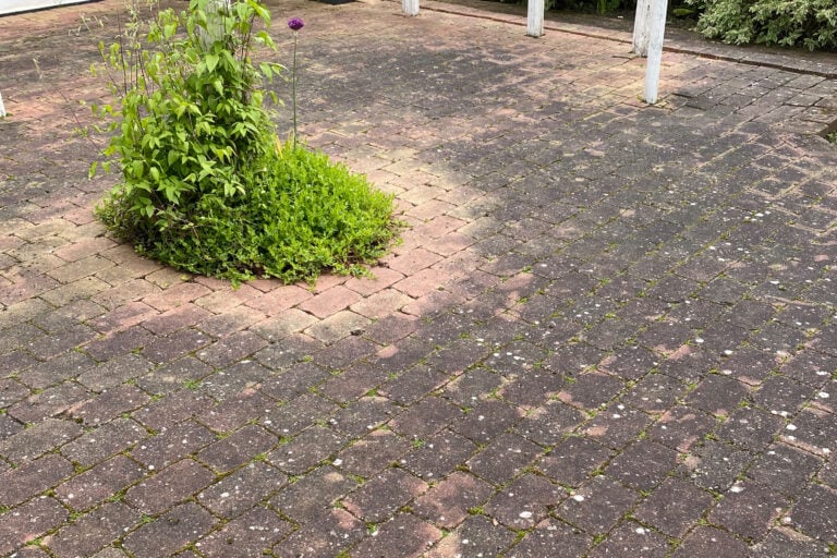 Billedet viser fliser før fliserens, hvor alger, snavs og belægninger har sat sig i overfladen og fugerne. Fliserne fremstår mørke og ujævne før professionel rensning.