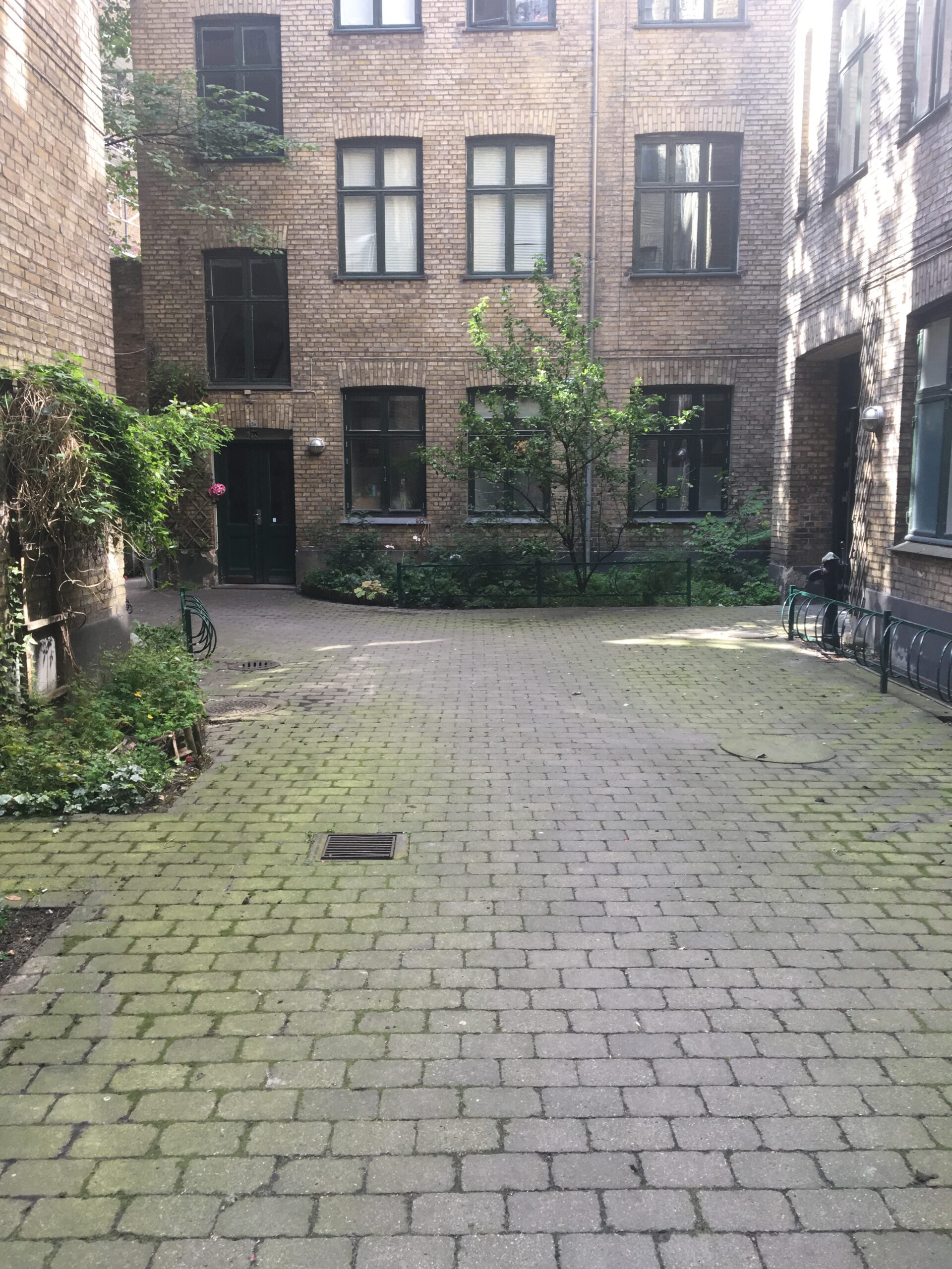 Fliser som er fyldt med algevækster og mos hos en boligforeninig inden Nanostone erhverv har løst opgaven.