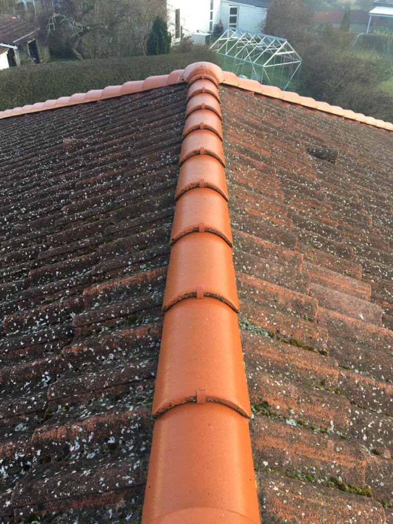 Tagryg og tegltag med alger og belægninger før professionel tagrens