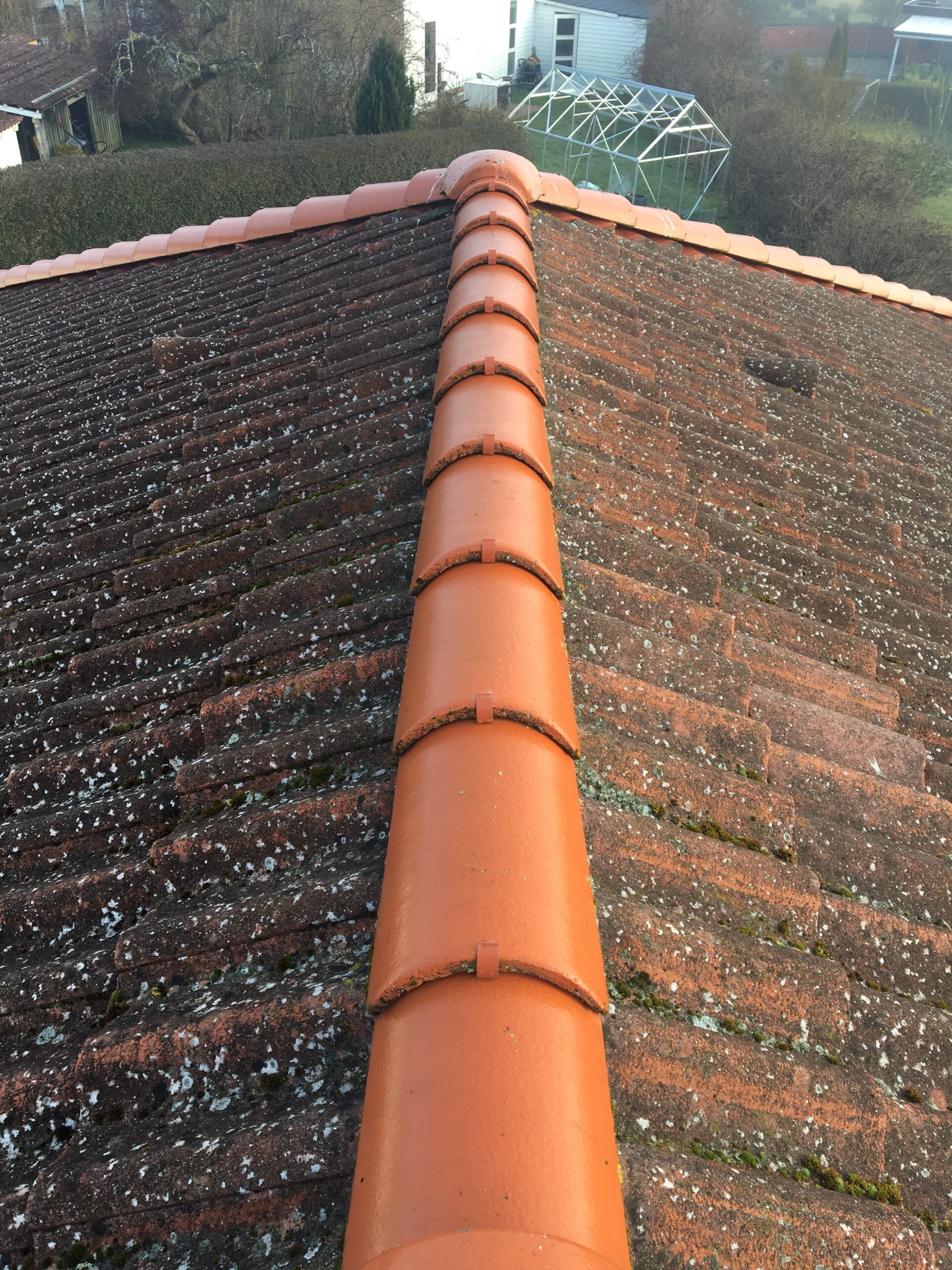 Tagryg og tegltag med alger og belægninger før professionel tagrens