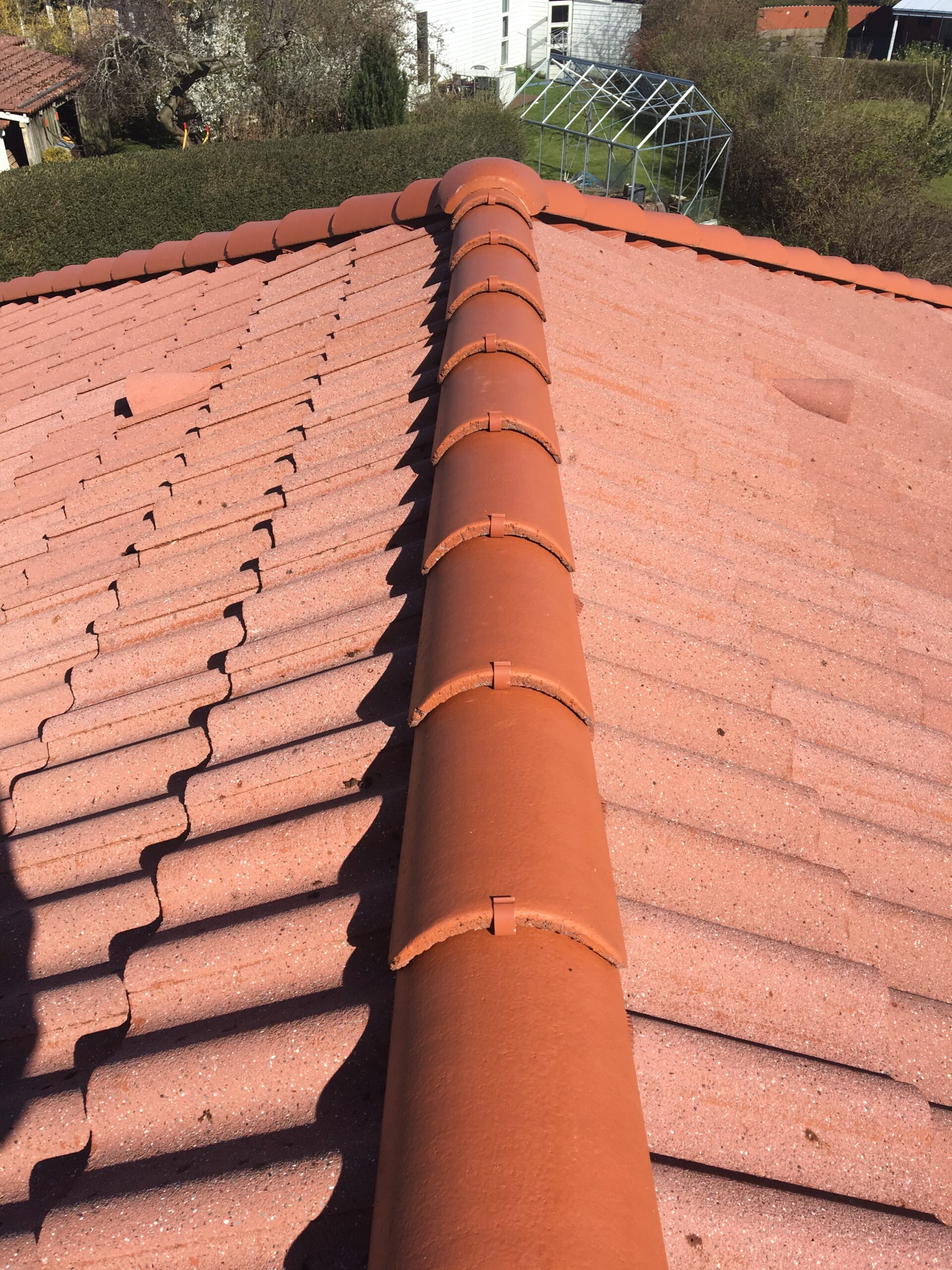 Tegltag med ren tagryg efter algebehandling og tagrens