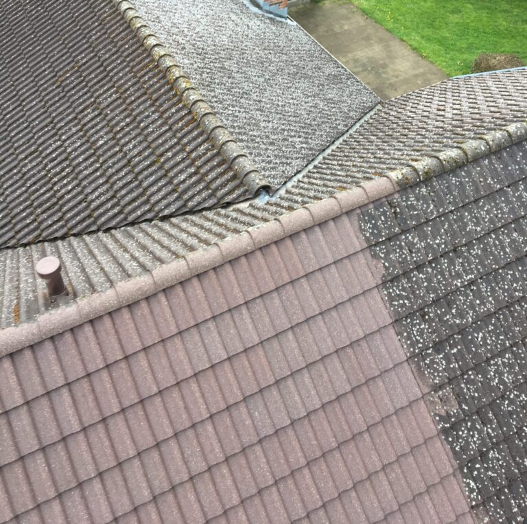 Tagrens før og efter – tydelig forskel mellem behandlet og ubehandlet tag