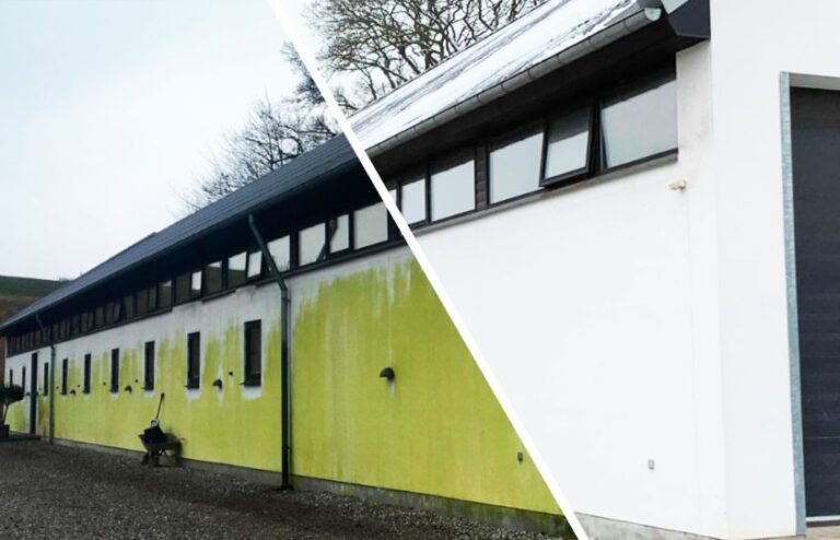 algebehandling af facade