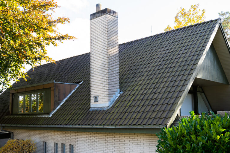 Tag fyldt med algevækster og er klar til at Nanostone skal udføres algebehandling.