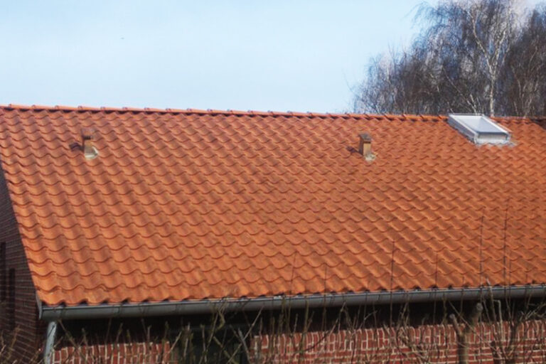 Et flot betontegl tag uden algevækster, da de fik udført algebehandling for 1 år siden.