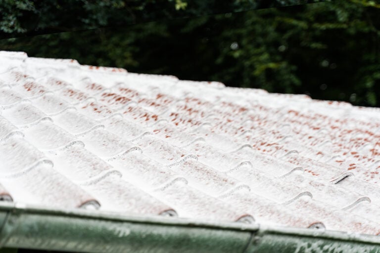 algebehandling som lige er blevet udført på et betontegl tag.