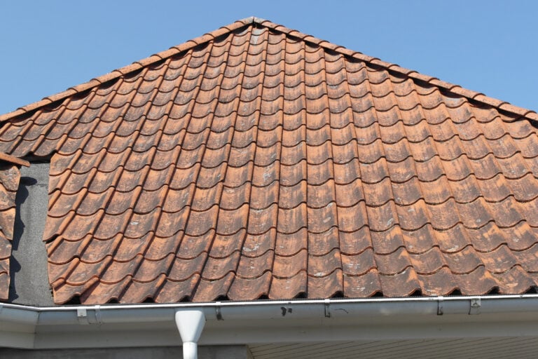 Betontagsten med alger, lav og belægninger før professionel algebehandling af tag.