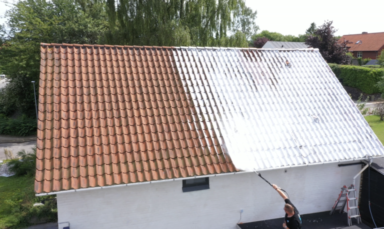 Tegltag før og under professionel algebehandling hvor alger og belægninger fjernes