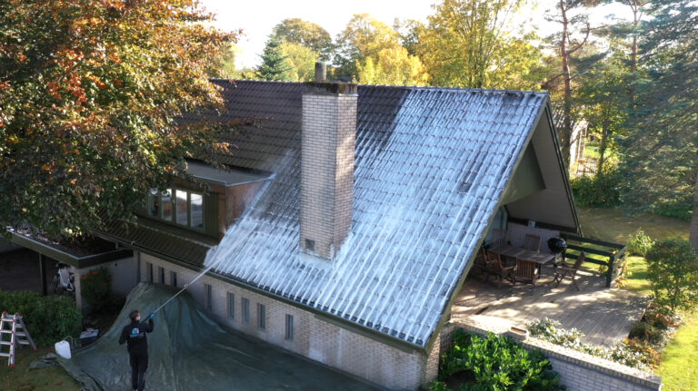 Tag under professionel algebehandling og tagrens med tydelig forskel på behandlet og ubehandlet område