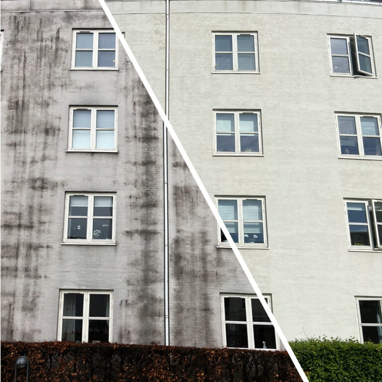 algebehandling af facader - Dalgas have