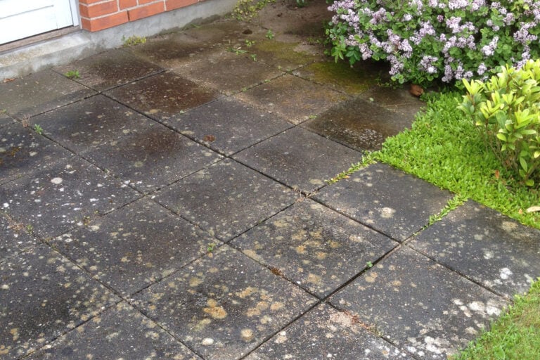 Beskidte fliser før fliserens med alger og belægninger og ukrudt i fugerne.