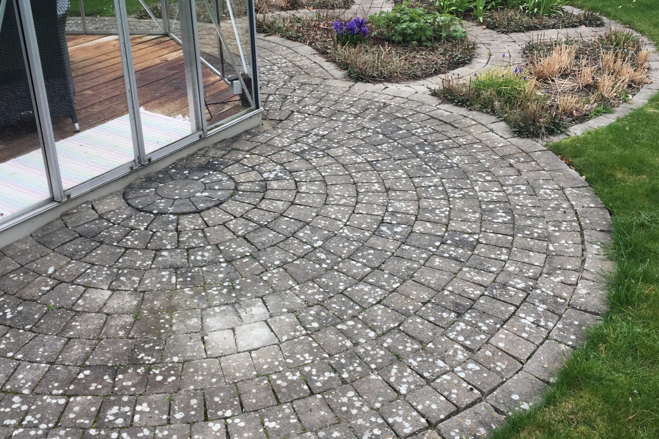 Cirkelfliser med alger og lav før fliserens