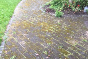 Havegang med fliser angrebet af mos og ukrudt før rensning.