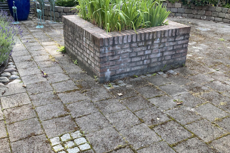 Fliser med alger og mos omkring bed og mur