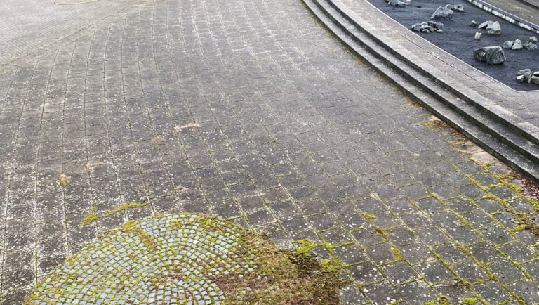 Udendørs fliseareal med mos, alger og snavs før professionel fliserens