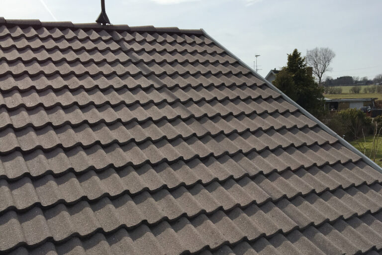 Renset tag efter professionel tagrens og algebehandling