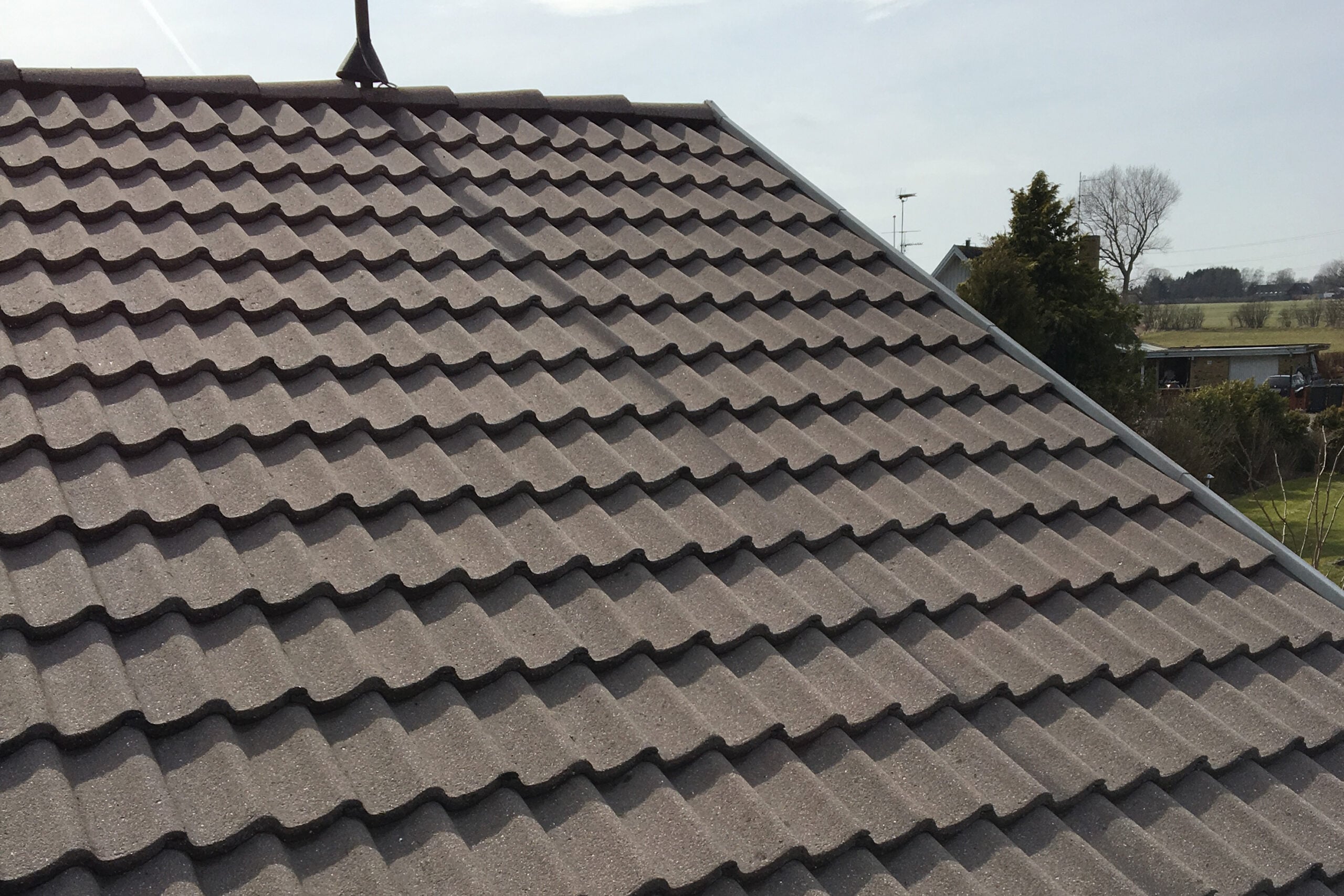 Renset tag efter professionel tagrens og algebehandling