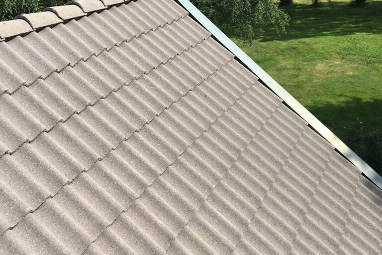 Renset tag efter professionel tagrens og algebehandling