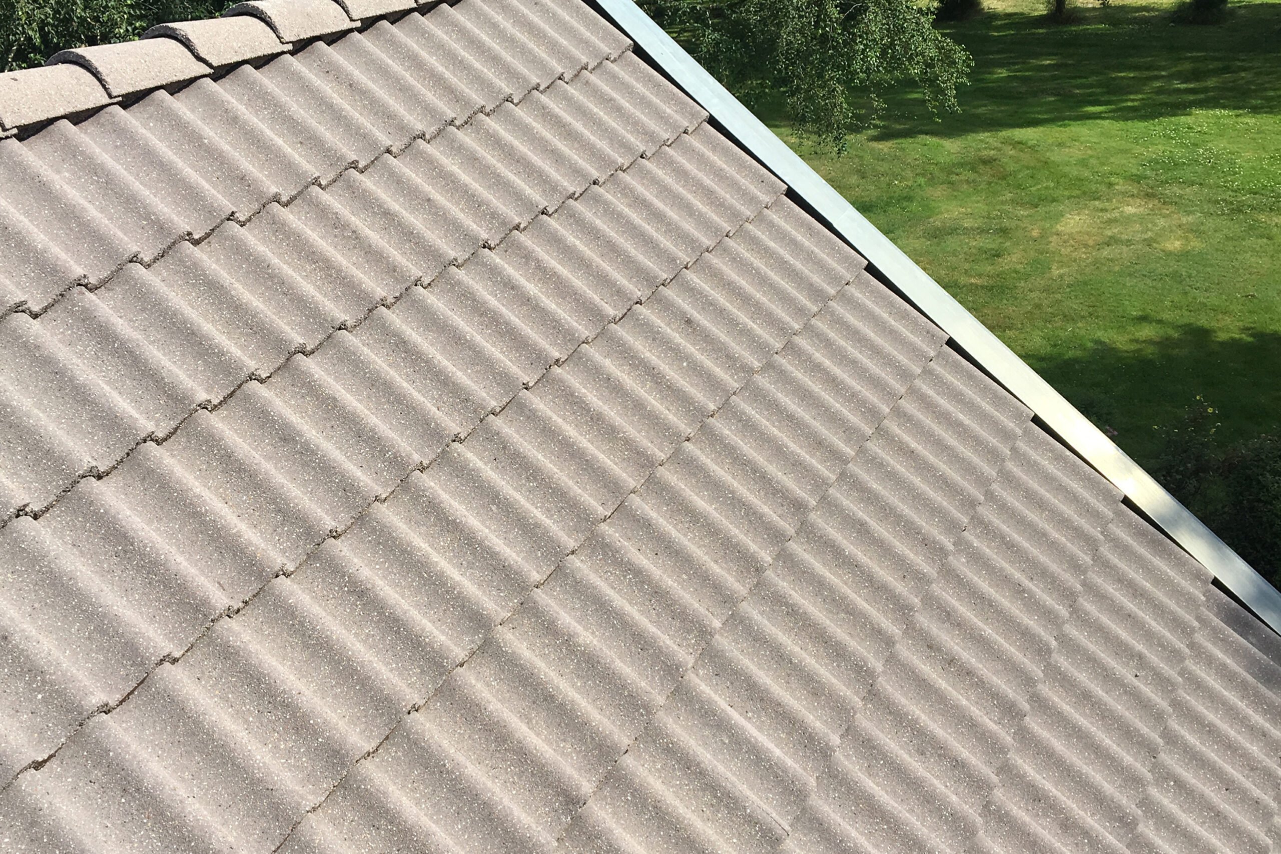 Renset tag efter professionel tagrens og algebehandling