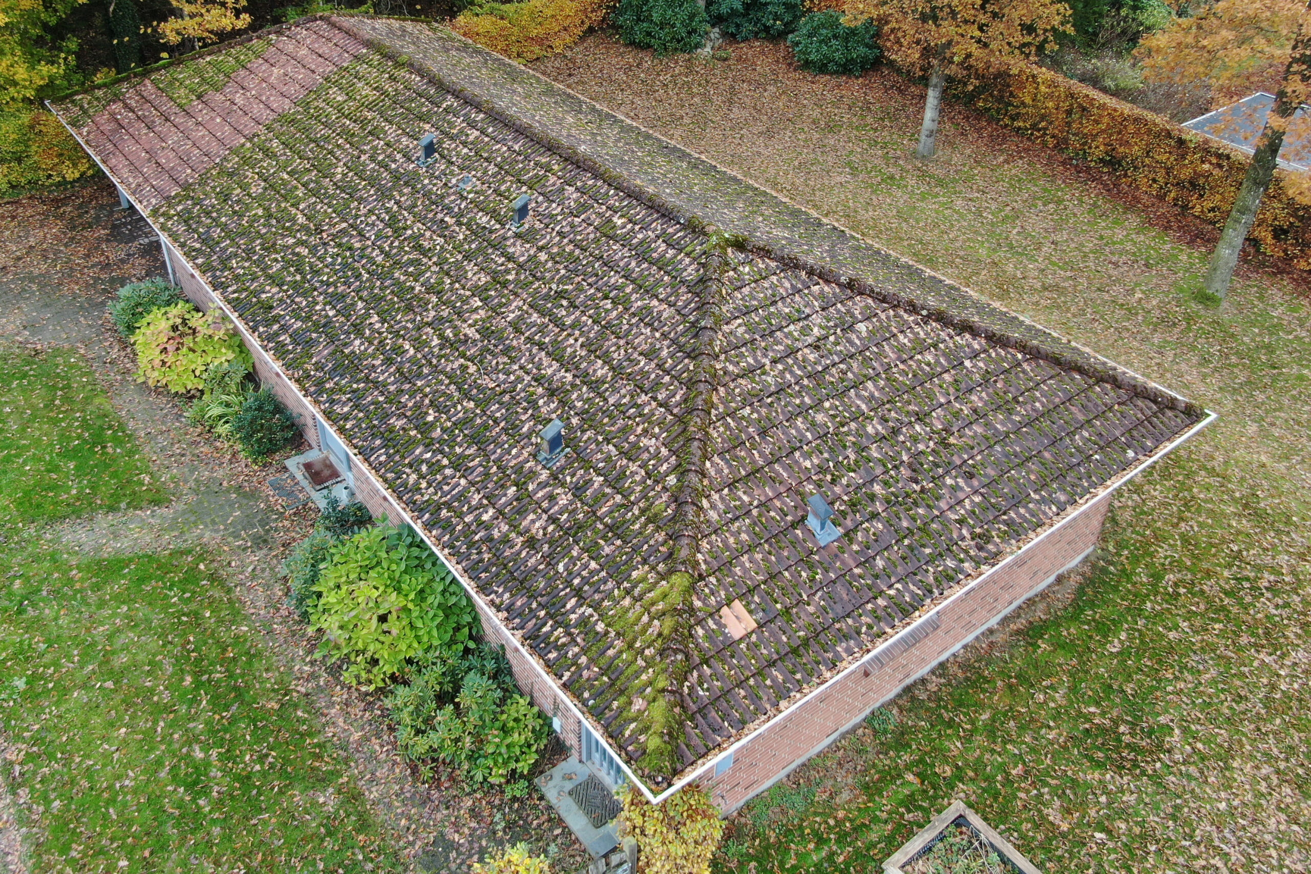 Kraftig mos på tag før algebehandling og tagrens