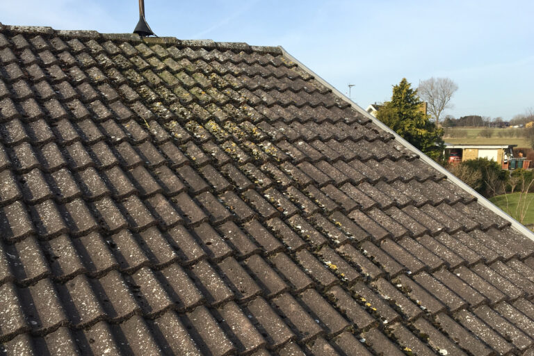 Tag med tydelig alge- og lavbevoksning før professionel tagrens