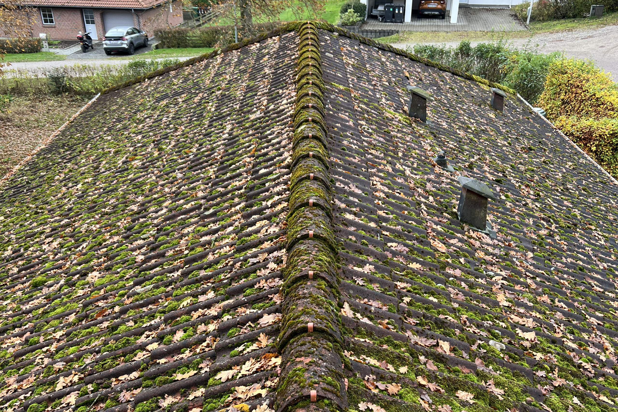 Tag med kraftig mos og blade før professionel tagrens