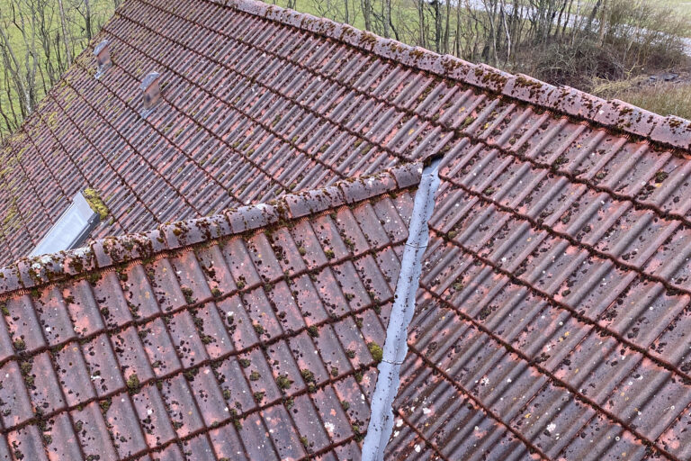 Tag med mos og alger omkring kip og inddækning før professionel tagrens