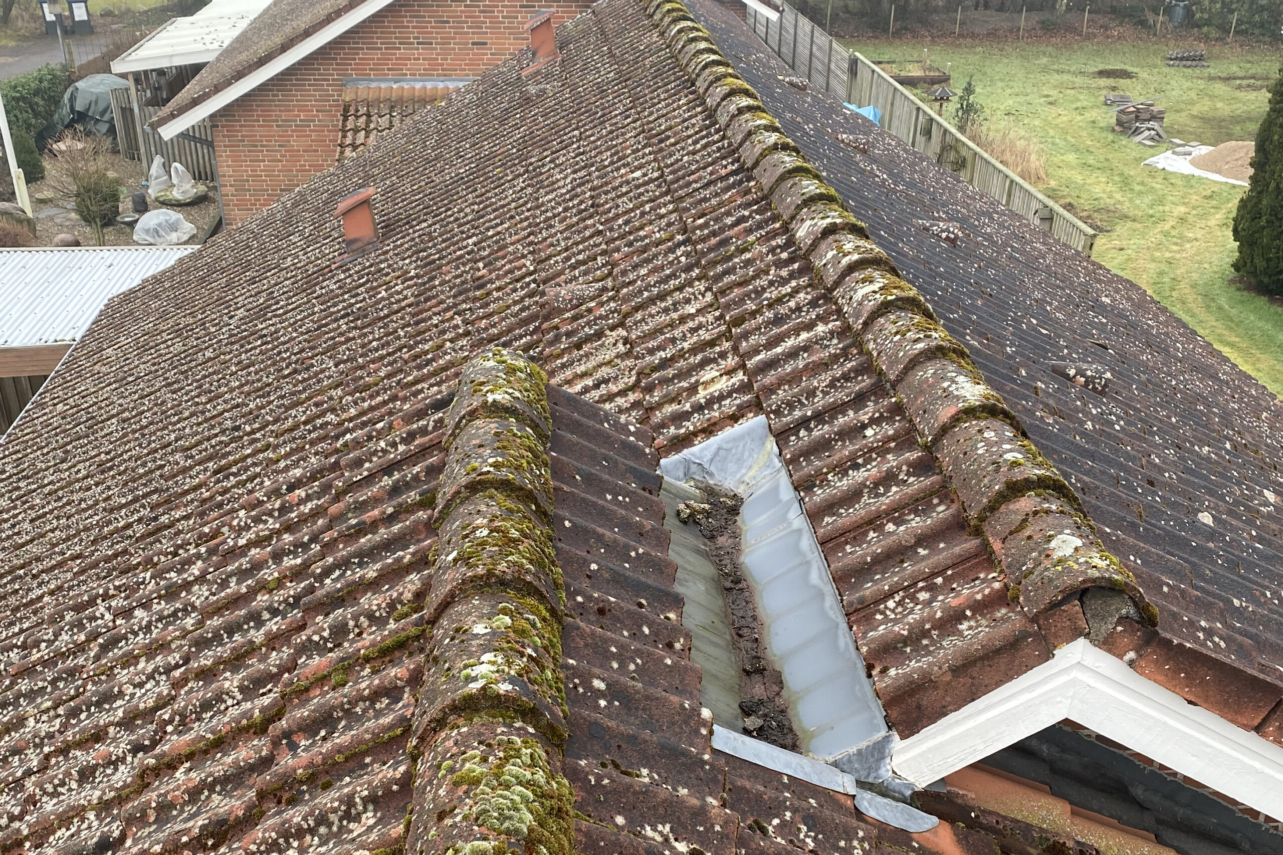 Tag med udbredt lav- og algevækst før professionel tagrens