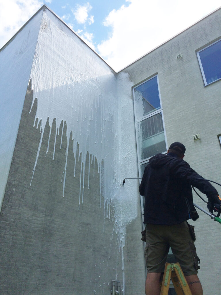 Algebehandling af facade