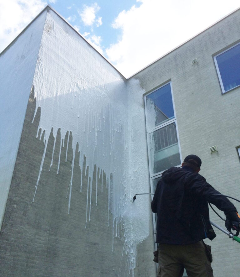 Algebehandling af facade