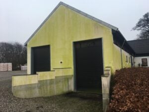 Facade på bygning fyldt med grønne alger