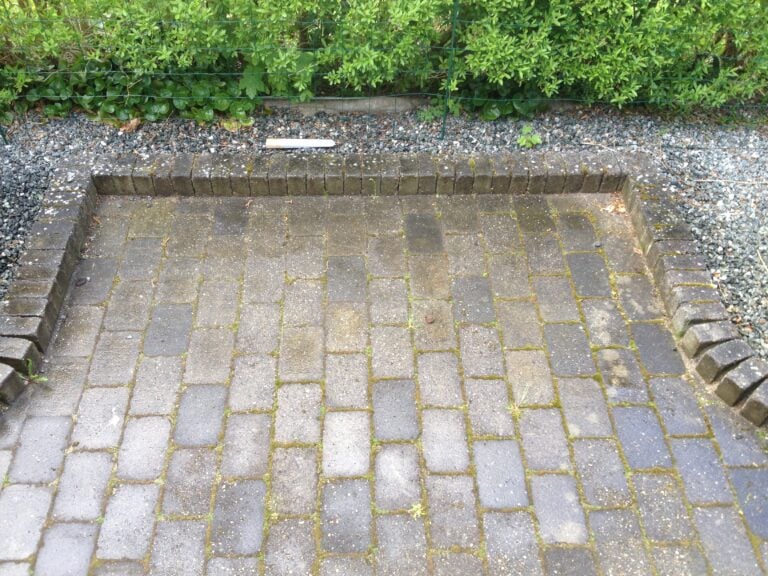 Terrassefliser med alger og ukrudt i Hørsholm før fliserens