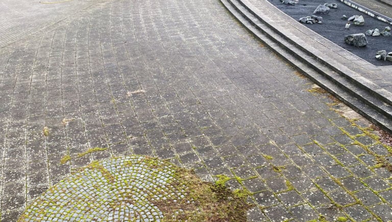 Buet flisebelægning med grønne alger og snavs i Taastrup før fliserens