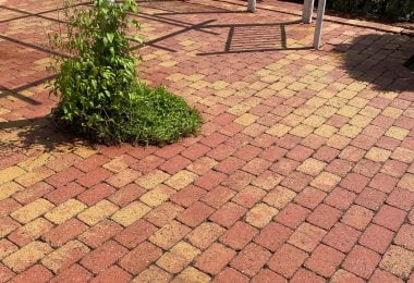 Billedet viser fliser efter fliserens, hvor alger, snavs og belægninger er fjernet. Overfladen fremstår ren, ensartet og med tydelige farver efter professionel rensning.